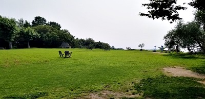 牛窓オリーブ園の芝生